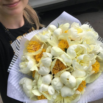 Лимонные пионы в букете от 9 шт.