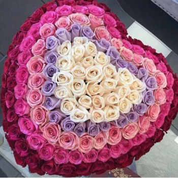 Нежная радуга из роз от 51 шт.
