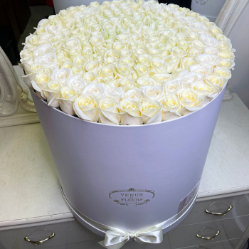 Розы в высокой коробке от 51 шт.