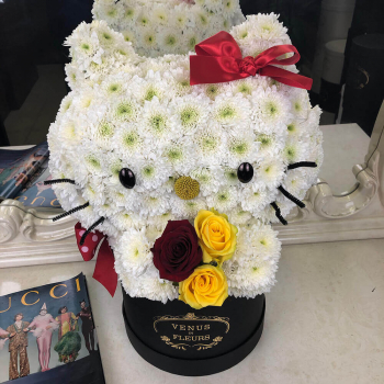 Кошка из белых хризантем - 41 шт. Кошка из белых хризантем - 41 шт.