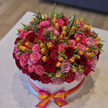 Мулен Руж от 81 шт. Мулен Руж от 81 шт.