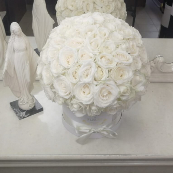 Белые розы (шар) - от 101 шт.