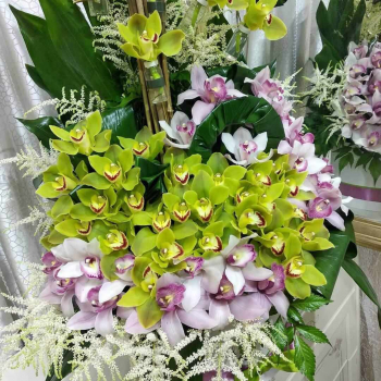 Шикарный микс из орхидей - 61 шт. Шикарный микс из орхидей - 61 шт.