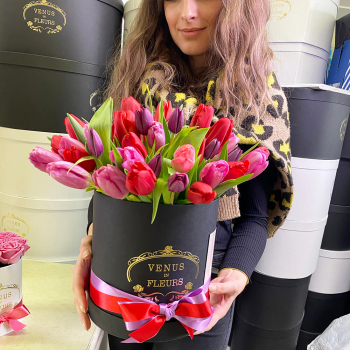 Красно-фиолетовые тюльпаны от 51 шт Красно-фиолетовые тюльпаны от 51 шт