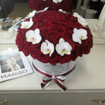 101 красная роза с орхидеями 101 красная роза с орхидеями