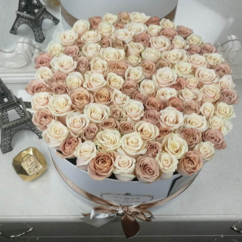 101 кремово-кофейная роза в коробке