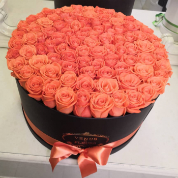 101 коралловая роза в коробке 101 коралловая роза в коробке