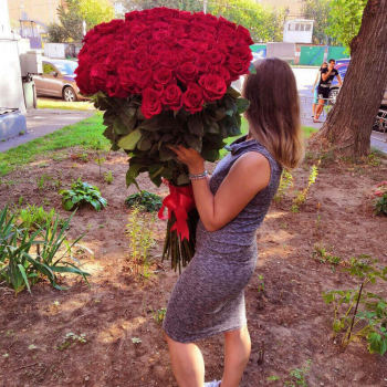 Красные метровые розы - 101 шт.