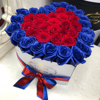 51 красная роза с синей окантовкой