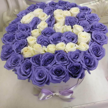 51 фиолетовая роза с датой 51 фиолетовая роза с датой