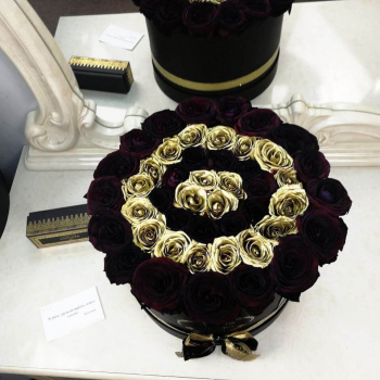 51 черная роза с окантовкой 51 черная роза с окантовкой