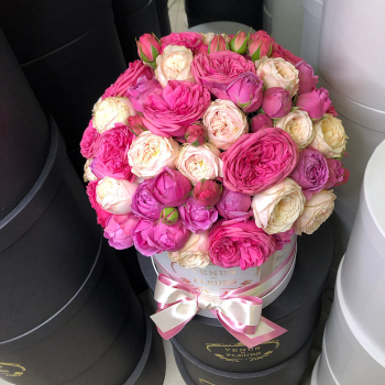 51 пионовидная роза микс в коробке 51 пионовидная роза микс в коробке