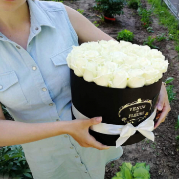 55 белых роз в коробке