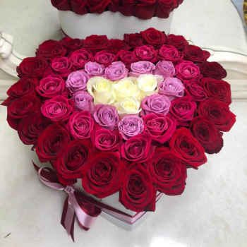 65 роз - нежная радуга