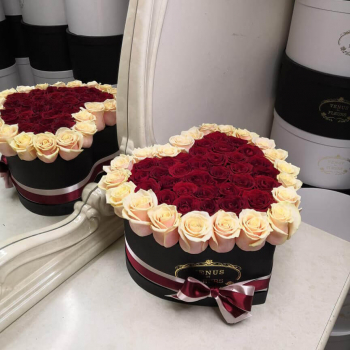 51 красная роза с кремовой окантовкой