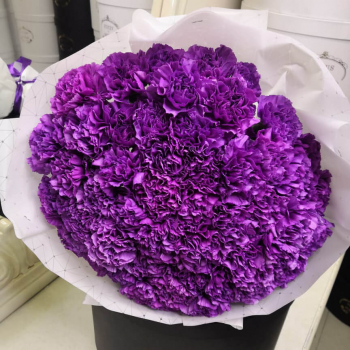 51 фиолетовая гвоздика в букете 51 фиолетовая гвоздика в букете