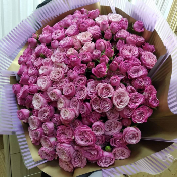 51 вишневая кустовая роза в букете