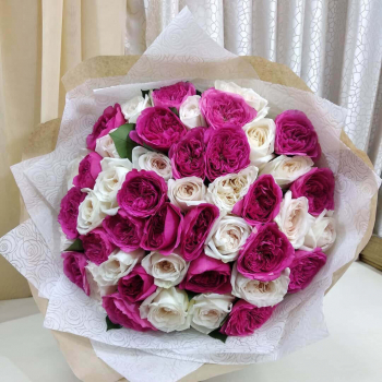 51 бело-розовая пионовидная роза