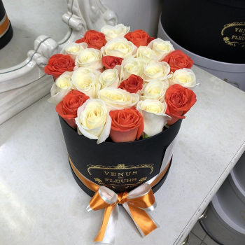 25 бело-коралловых роз в коробке