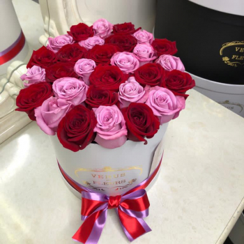 25 красно-фиолетовых роз в коробке 25 красно-фиолетовых роз в коробке