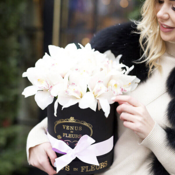 25 белых орхидей в коробке 25 белых орхидей в коробке