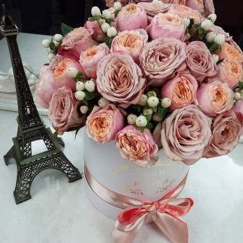 25 кофейных пионовидных роз в коробке