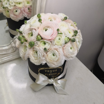 29 ранункулюсов в коробке