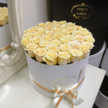 31 кремовая роза в коробке 31 кремовая роза в коробке