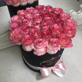 31 розовая роза в коробке