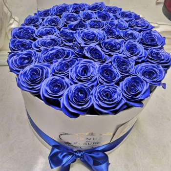 31 синяя роза в коробке 31 синяя роза в коробке
