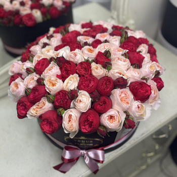 101 пионовидная роза в коробке 101 пионовидная роза в коробке