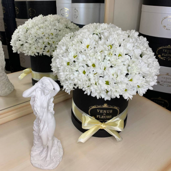 Хризантемы в коробке от 9 шт.