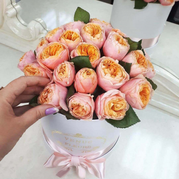 15 пионовидных роз в коробке 15 пионовидных роз в коробке