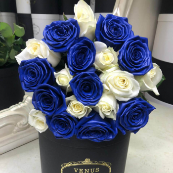 15 бело-синих роз в букете 15 бело-синих роз в букете