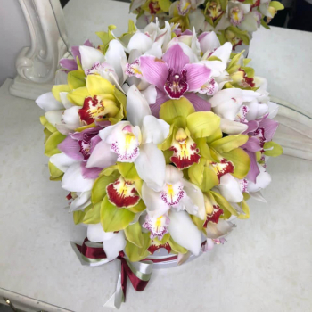 Разноцветные орхидеи от 51 шт.