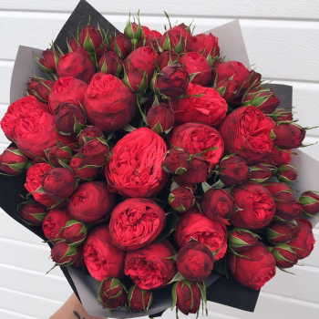 25 пионовидных роз в букете