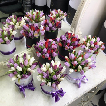 19 корпоративных тюльпанов для коллег 19 корпоративных тюльпанов для коллег