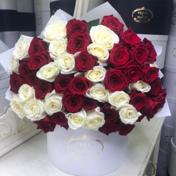 51 красно-белая роза в букете