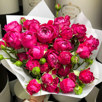 Малиновые пионовидные от 9 шт. Малиновые пионовидные от 9 шт.