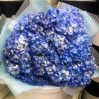 Букет голубых гортензий от 3 шт. Букет голубых гортензий от 3 шт.