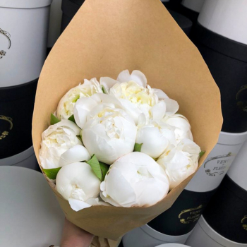 9 белых пионов в букете