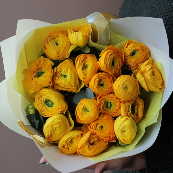 Желтые ранункулюсы  в букете - 19 шт.