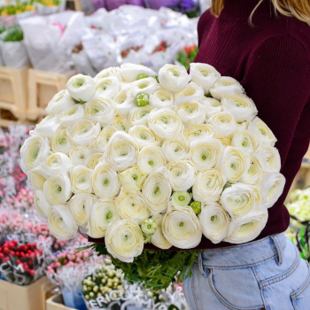 29 лимонных ранункулюсов