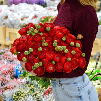 Красные ранункулюсы - 29 шт.