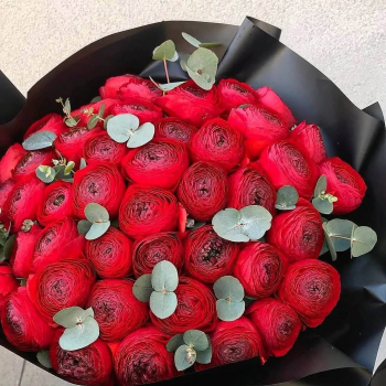 51 красный ранункулюс в букете