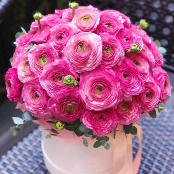 Ранункулюсы в коробке от 19 шт.