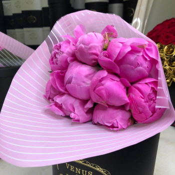 9 розовых пионов в букете 9 розовых пионов в букете