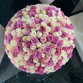 251 нежная роза в букете - 70 см.