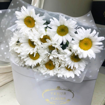 9 крупных ромашек в букете 9 крупных ромашек в букете