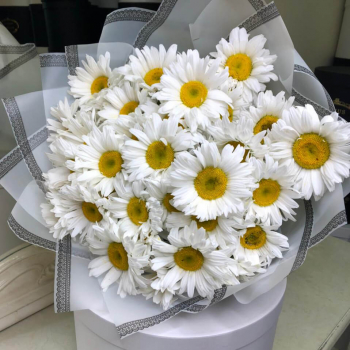 19 крупных ромашек в букете 19 крупных ромашек в букете